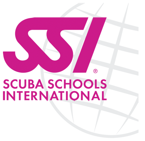 SSI_Logo_Globe_500_484